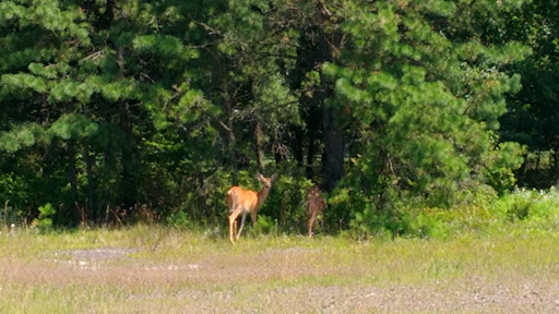 Golf Shop «Eagle Rock Golf Clubhouse & Pro Shop», reviews and photos, 191 Turnberry Ln, Hazle Township, PA 18202, USA