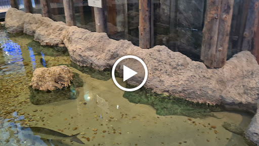 Sporting Goods Store «Bass Pro Shops», reviews and photos, 10040 Gulf Center Dr, Fort Myers, FL 33913, USA