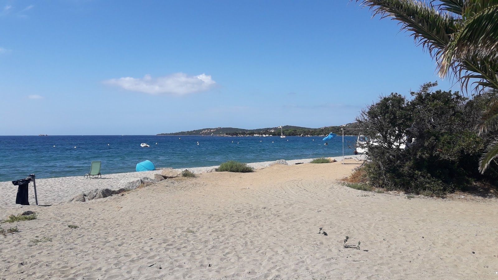 Tenutella beach'in fotoğrafı vahşi alan