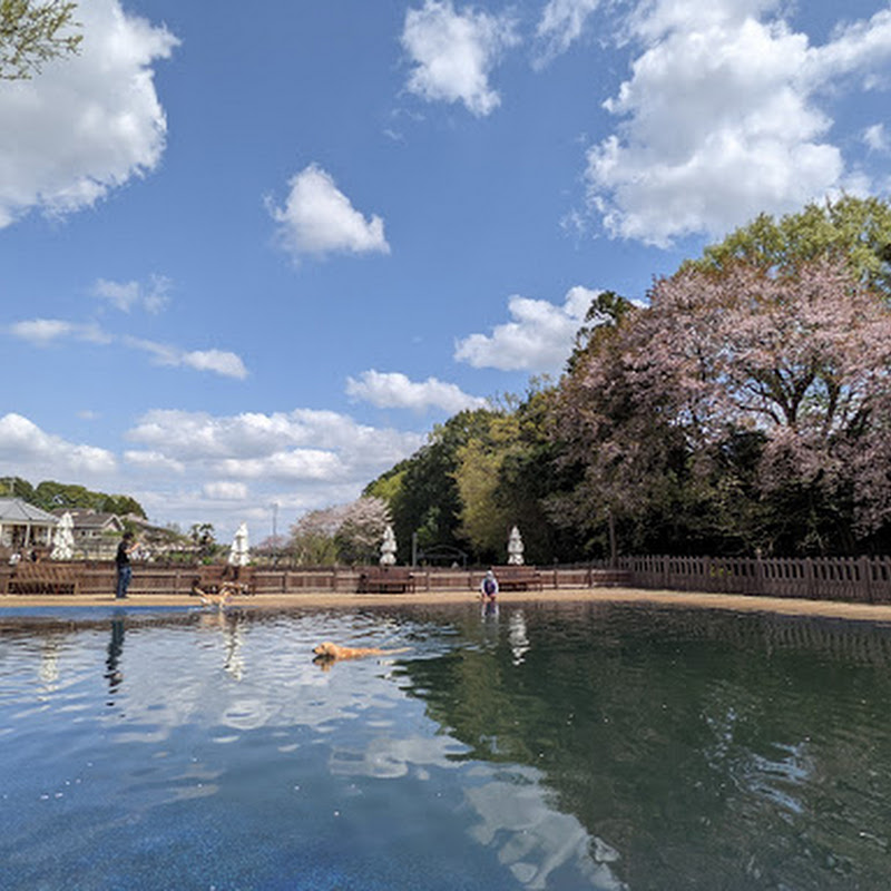 [ベスト] ドッグラン 関東最大 222719-ドッグラン 関東最大