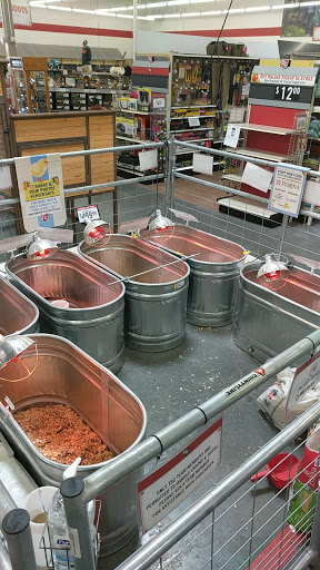 Home Improvement Store «Tractor Supply Co.», reviews and photos, 25606 S Arizona Ave, Chandler, AZ 85248, USA