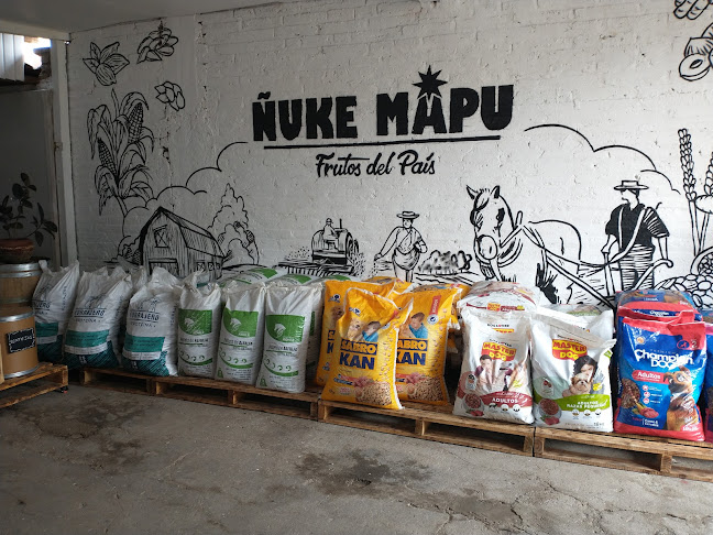 Opiniones de ÑUKE MAPU (Frutos del País) en Santa Cruz - Supermercado