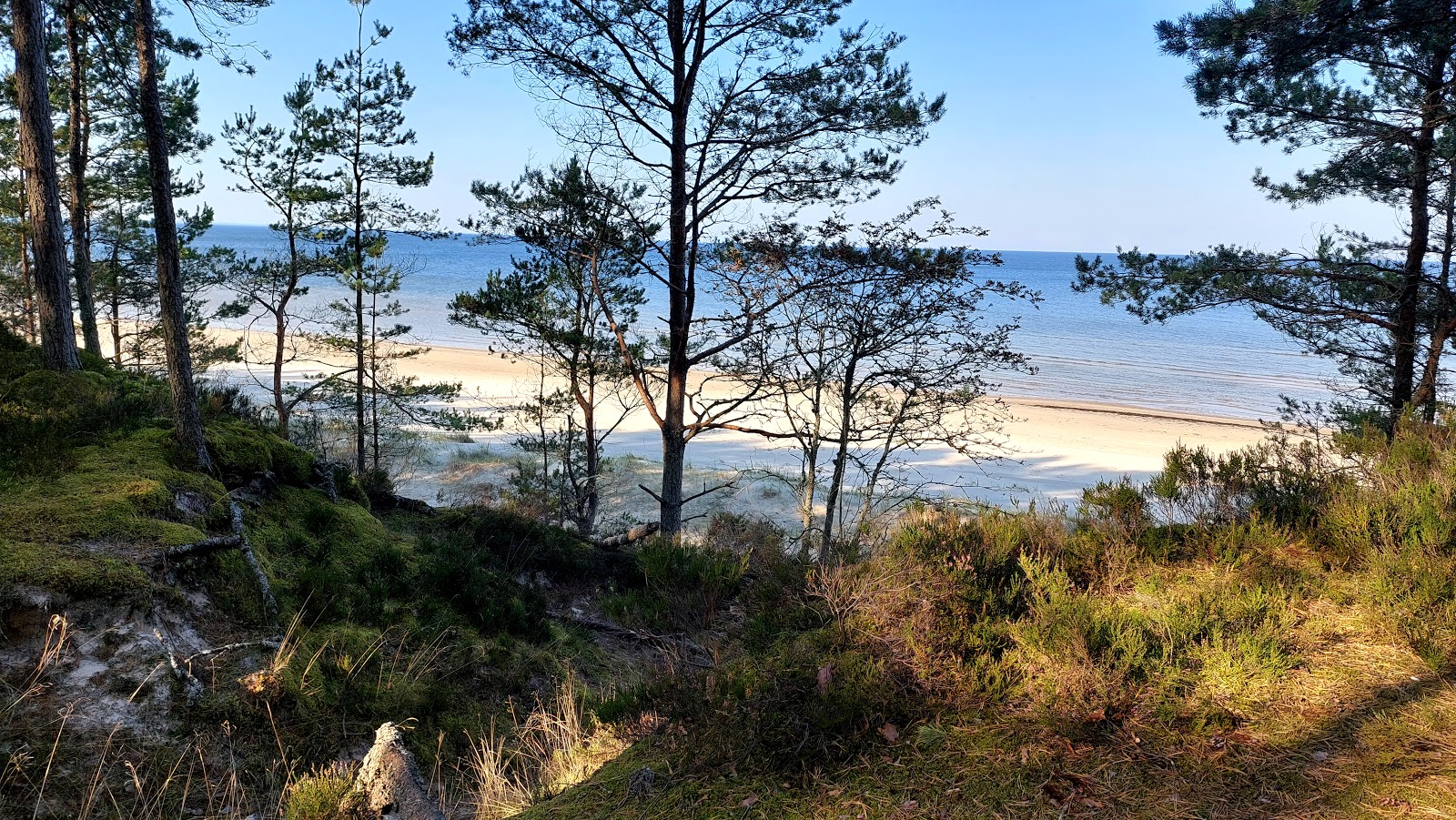 Photo de Ragaciema pludmale avec rivage droit, long