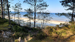 Photo de Ragaciema pludmale avec rivage droit, long