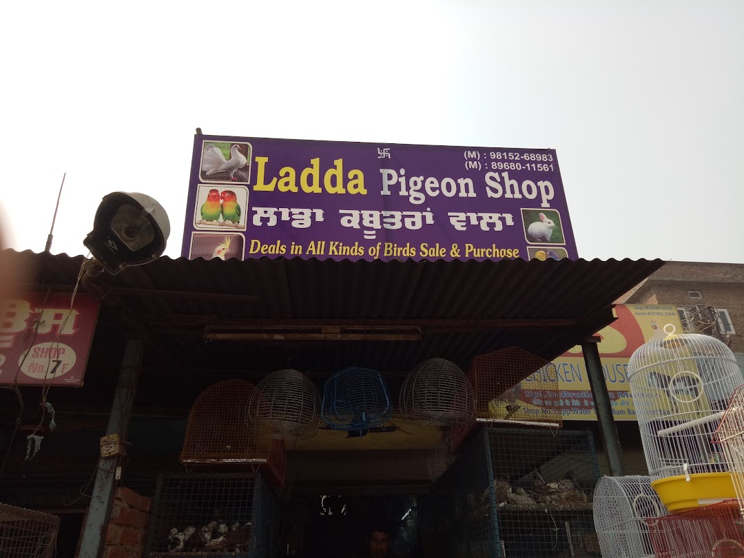 Ladda Pigeon Shop