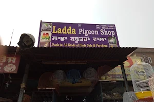 Ladda Pigeon Shop image