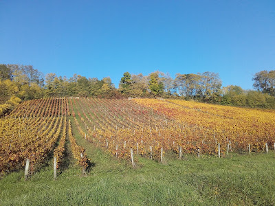 Girardin Yves à Santenay