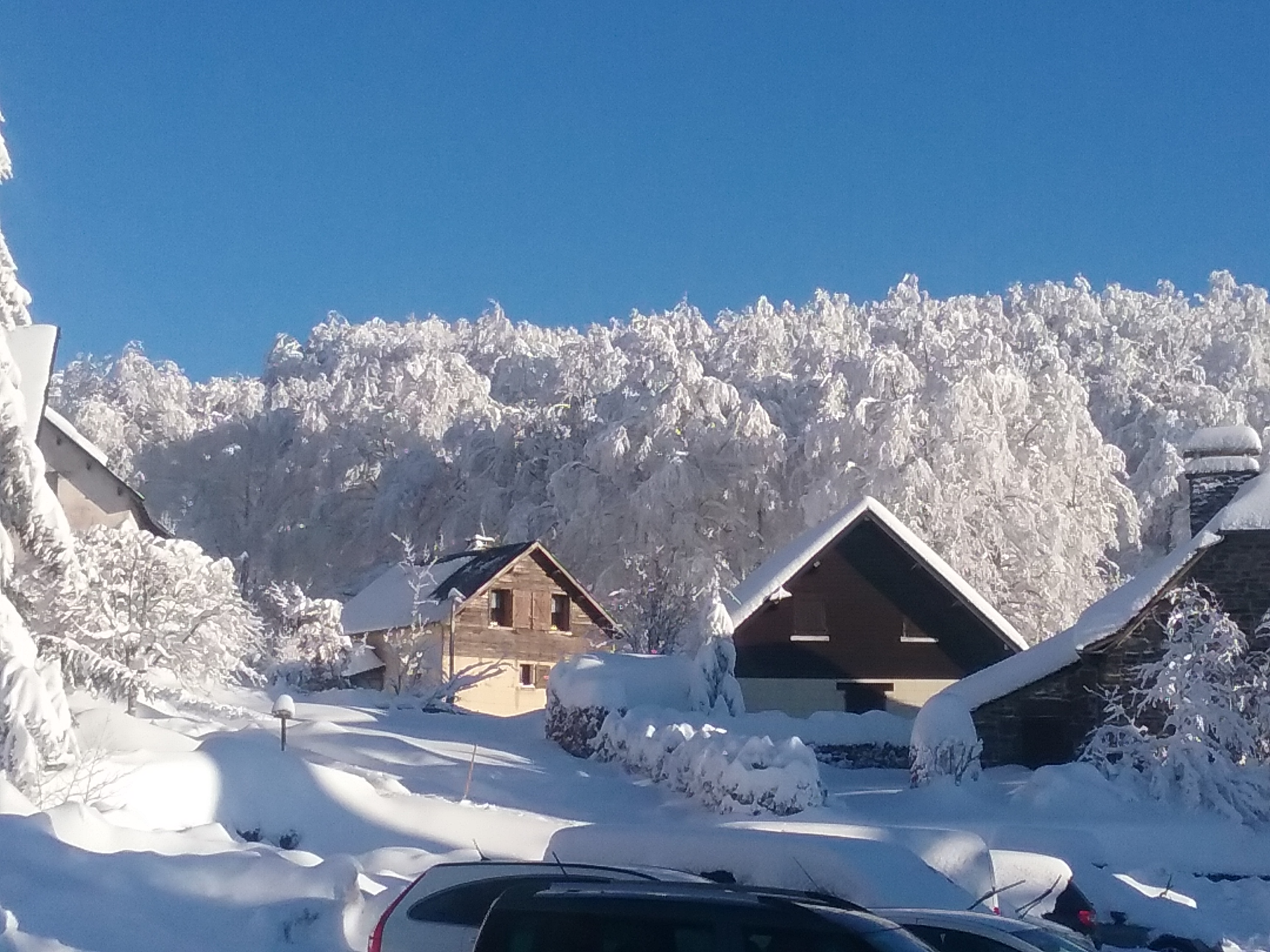 Photo n° 3 de l'avis de Gerard.a fait le 27/01/2021 à 19:29
