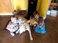 Bark, Biscuit, and Bed Pet Sitting Service - Photo 3 - Car repair in , San Antonio