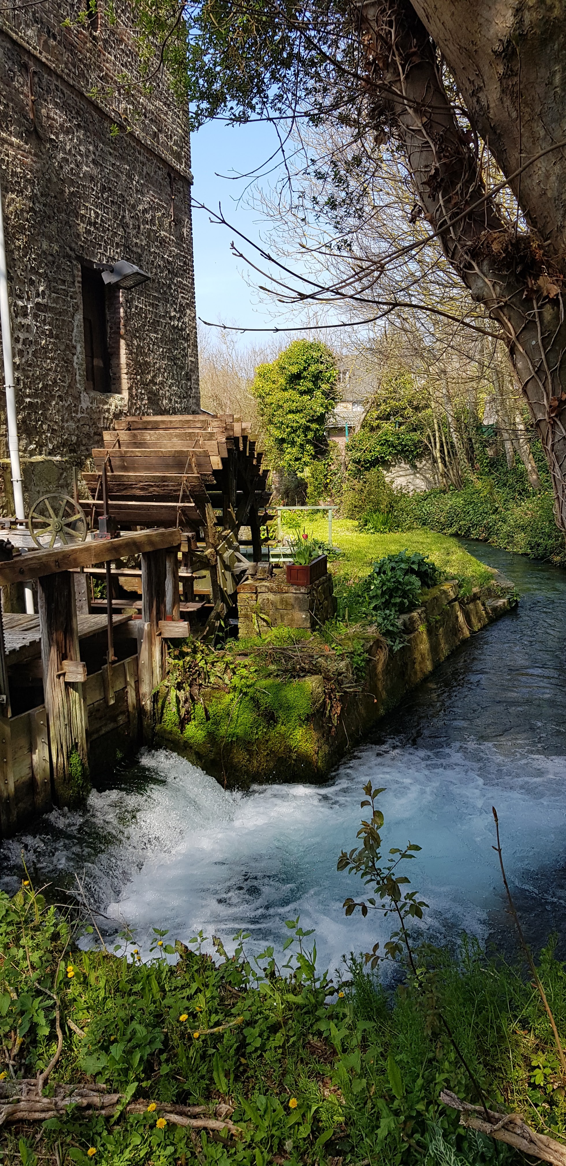 Photo n° 28 de l'avis de beatrice.r fait le 08/04/2019 à 15:08