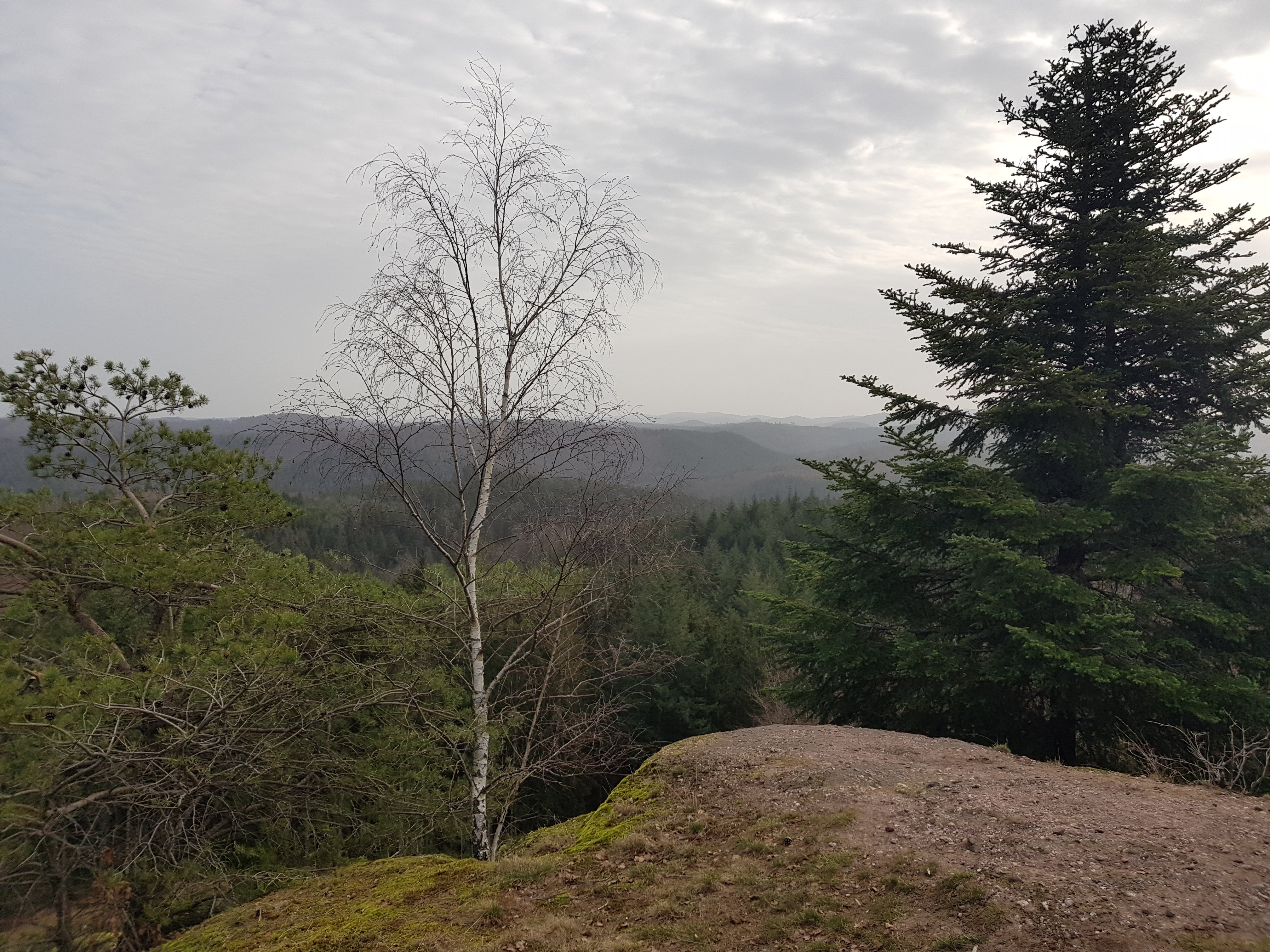 Photo n° 2 de l'avis de Jean-Marc.a fait le 16/03/2021 à 07:17