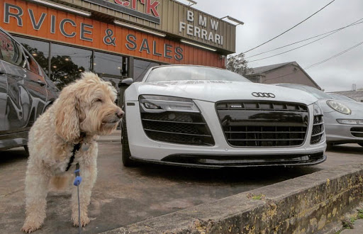 Auto Repair Shop «Eurocar-Werk», reviews and photos, 5103 Gulfton St, Houston, TX 77081, USA