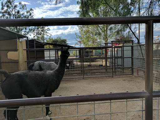 The Teaching Zoo at Moorpark College image