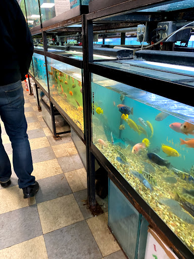 Aquarium «Beltway Aquarium», reviews and photos, 3306 Crain Hwy, Waldorf, MD 20603, USA