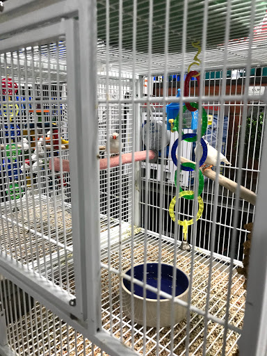 Pet Supply Store «Pet Supermarket, Inc.», reviews and photos, 1052 Peachtree Industrial Blvd, Suwanee, GA 30024, USA