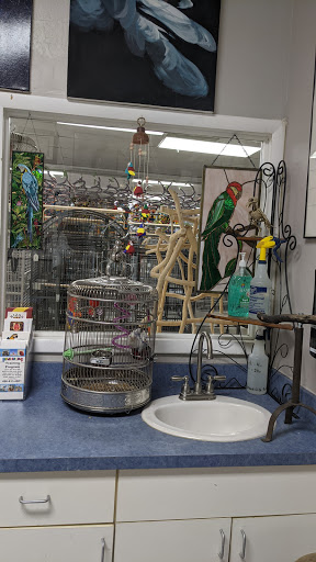 Bird Shop «Arizona Bird Store», reviews and photos, 565 S Dobson Rd, Mesa, AZ 85202, USA