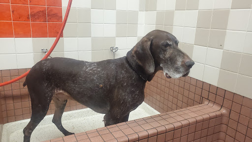 Pet Supply Store «Pet Food Express», reviews and photos, 265 Davis St, San Leandro, CA 94577, USA