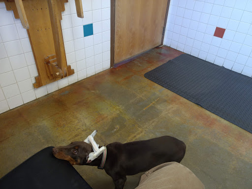 Beaver Brook Pet Center image