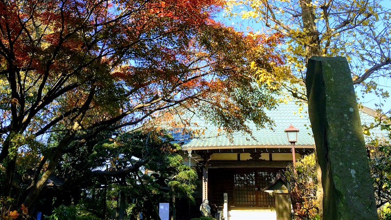 普門院 (真言宗豊山派)