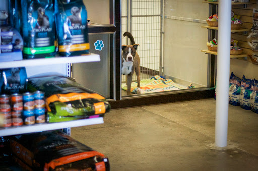 Pet Supply Store «Virginia Beach SPCA Pet Supplies & Adoption Center», reviews and photos, 983 Providence Square Shopping Center, Virginia Beach, VA 23464, USA