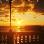 Photo n°2 de l'avis de Renato.i fait le 24/03/2021 à 18:10 sur le  Bar La Terrazza Mascagni à Livorno