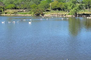 Laguna de los Patos image