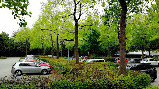 Parkplatz Loki-Schmidt-Garten