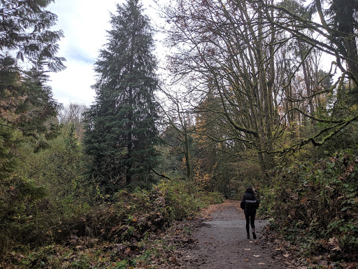 Park «Cowen Park», reviews and photos, 5849 15th Ave NE, Seattle, WA 98105, USA