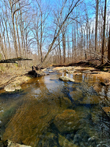 Park «Fred Crabtree Park», reviews and photos, 2801 Fox Mill Rd, Herndon, VA 20171, USA