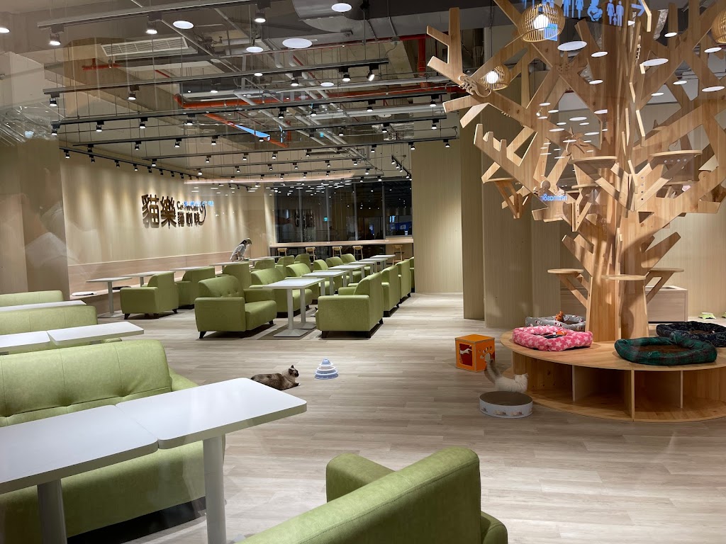 貓樂貓咖啡 LaLaport 台中店 的照片