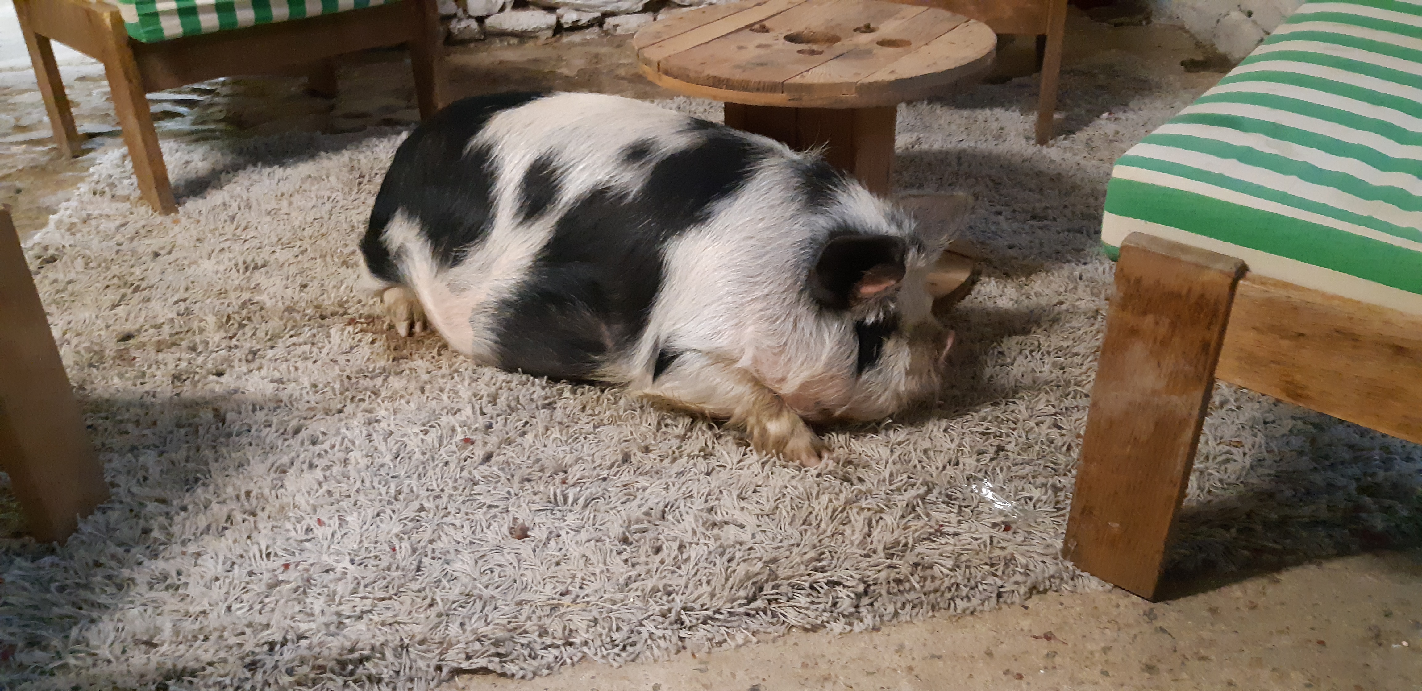 Photo n° 1 de l'avis de Yannick.a fait le 27/10/2019 à 14:17