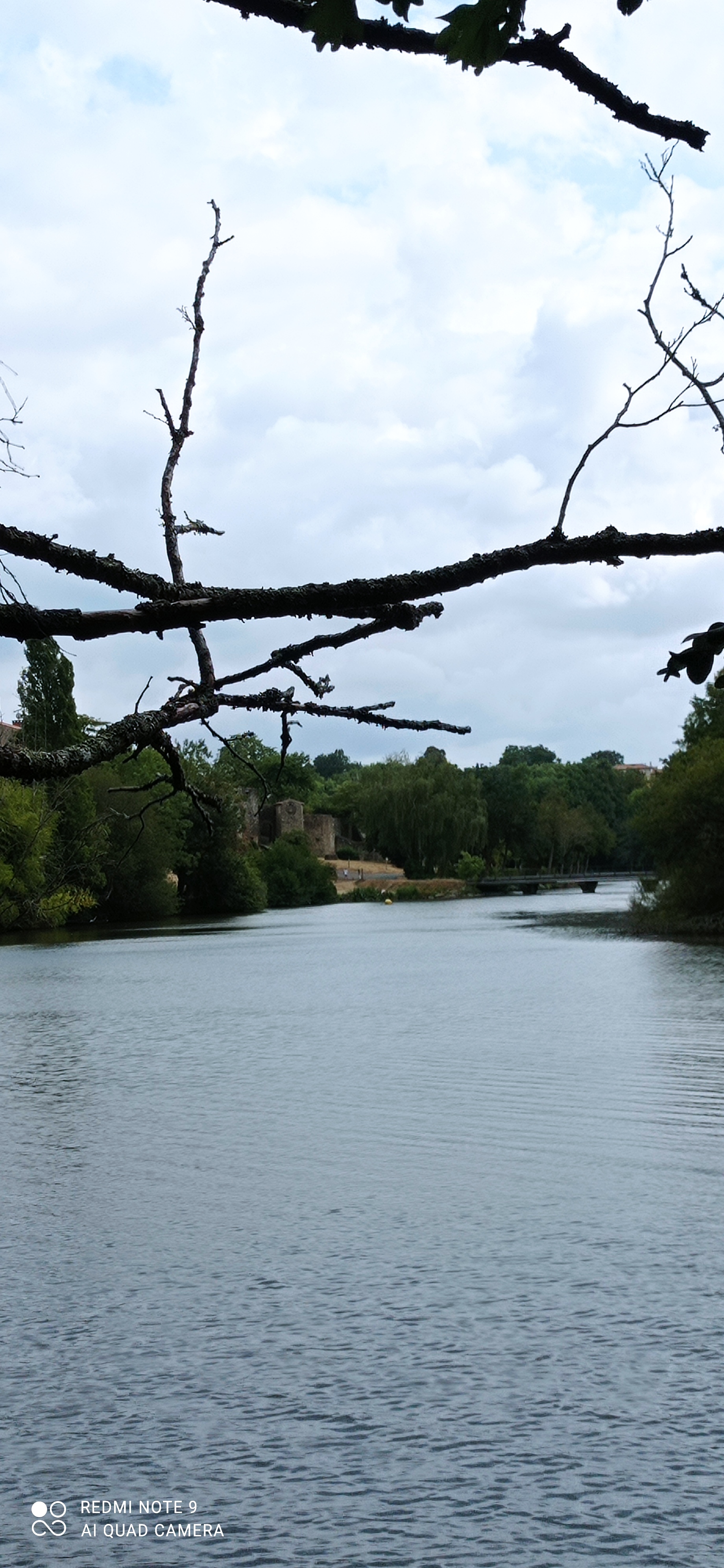 Photo n° 24 de l'avis de Patrick.o fait le 14/08/2022 à 16:06