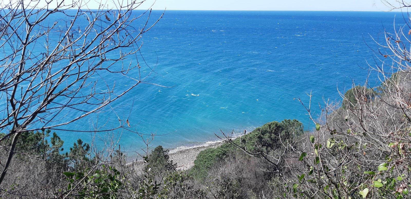 Strunjan beach的照片 具有非常干净级别的清洁度