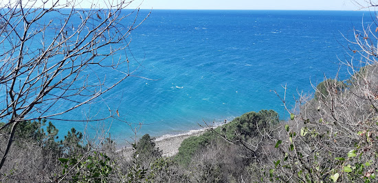 Strunjan beach