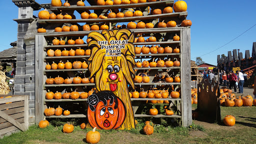 Great Pumpkin Farm image 7