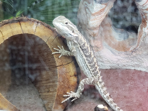 Pet Supply Store «PetSmart», reviews and photos, 355 Howe Ave, Cuyahoga Falls, OH 44221, USA