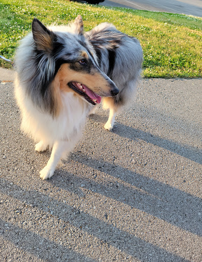 Park «Owl Creek Park», reviews and photos, 9751 Concord Rd, Brentwood, TN 37027, USA