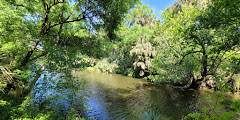 Turkey Creek Sanctuary