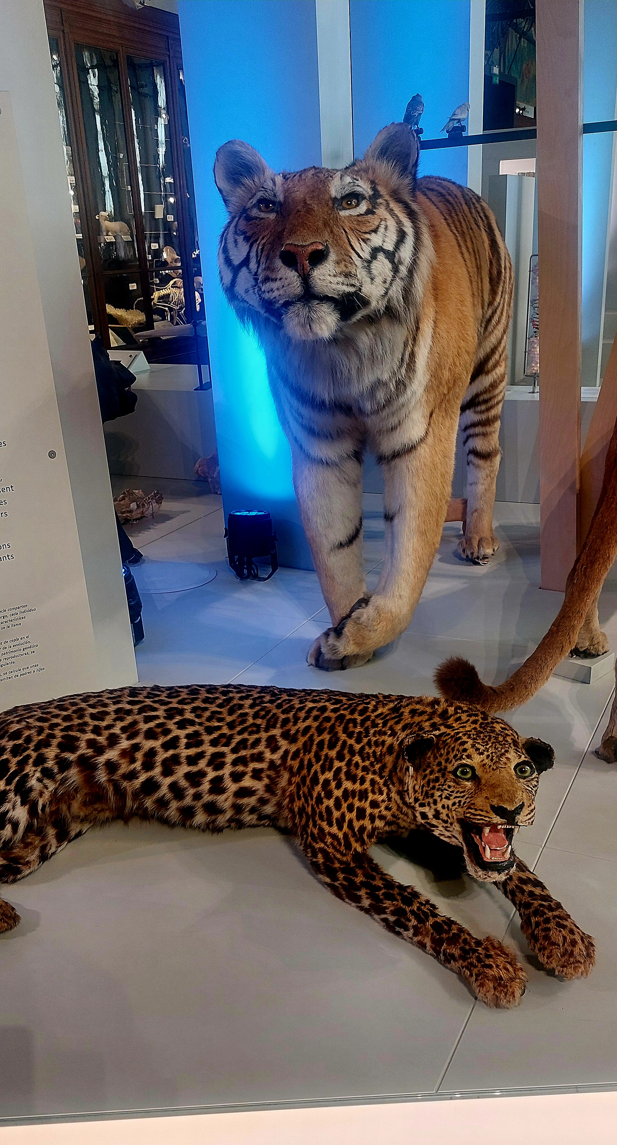 Photo n° 5 de l'avis de karns.A fait le 13/03/2024 à 18:34