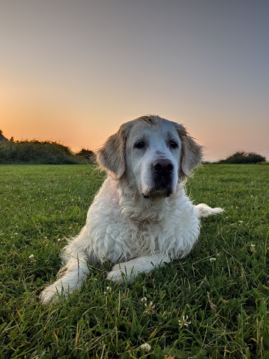 Centro Veterinario Ordosgoiti en Bilbao