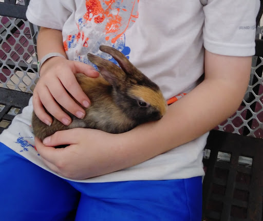 Pet Store «Salisbury Super Pet», reviews and photos, 329 Civic Ave, Salisbury, MD 21804, USA