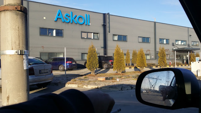Opinii despre Askoll în <nil> - Firmă de construcții