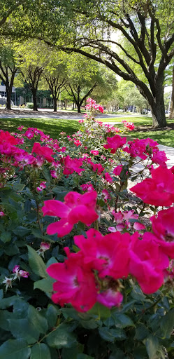 Employment Agency «Volt Workforce Solutions», reviews and photos, 8505 Freeport Pkwy #200, Irving, TX 75063, USA