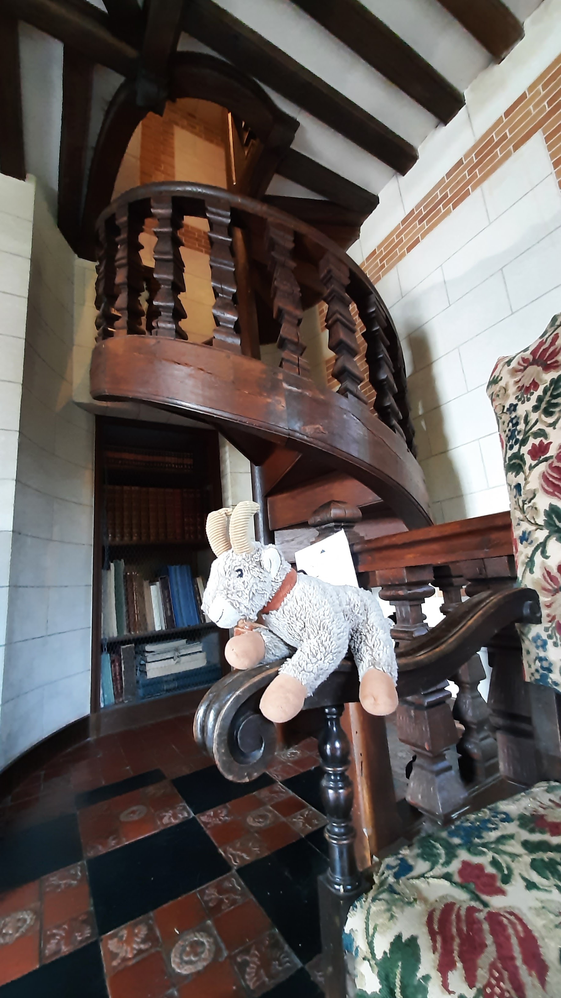 Photo n° 13 de l'avis de Armando.a fait le 18/07/2022 à 07:06