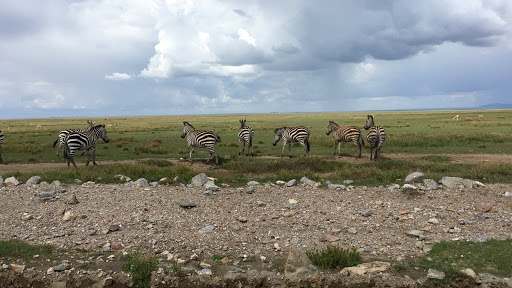 Travel Agency «BNT Travel Group», reviews and photos, 703 Brighton Beach Ave, Brooklyn, NY 11235, USA