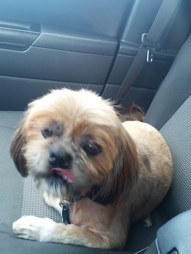 Pet Supply Store «Petco Animal Supplies», reviews and photos, 6720 Fox Centre Pkwy, Gloucester Courthouse, VA 23061, USA