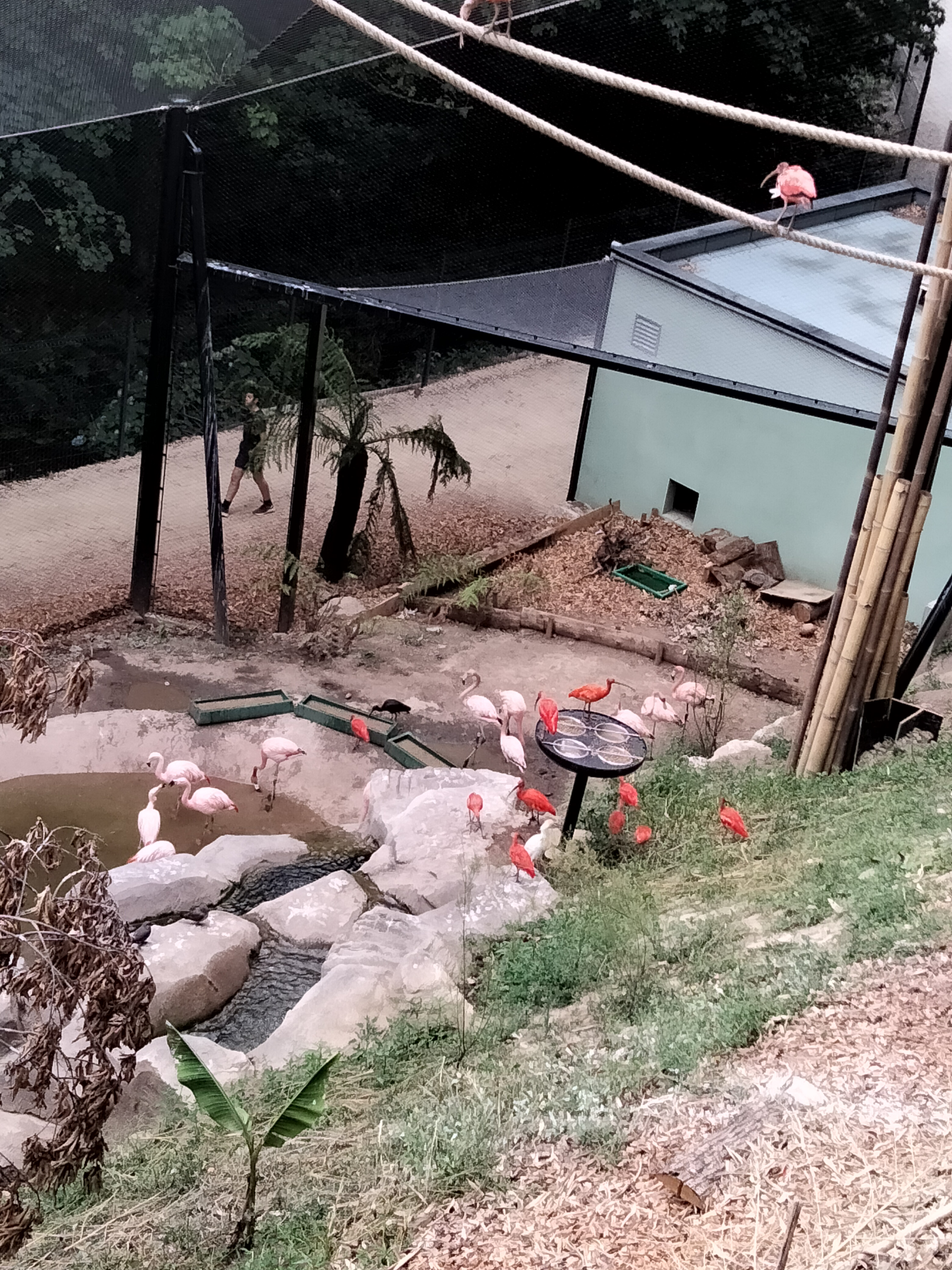 Photo n° 1 de l'avis de Noëlline.� fait le 27/07/2022 à 15:57