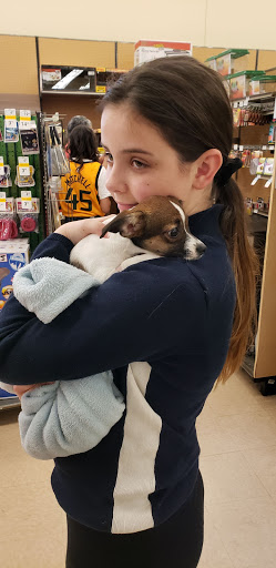 Pet Supply Store «Petco Animal Supplies», reviews and photos, 2095 N Harris Blvd, Layton, UT 84041, USA