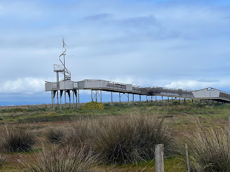 Cheetham Wetlands Observation Tower