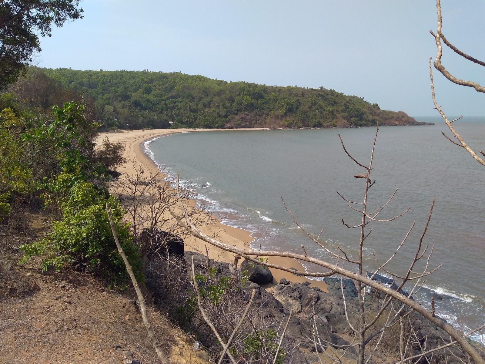 Kirubeli Cove的照片 带有宽敞的海岸